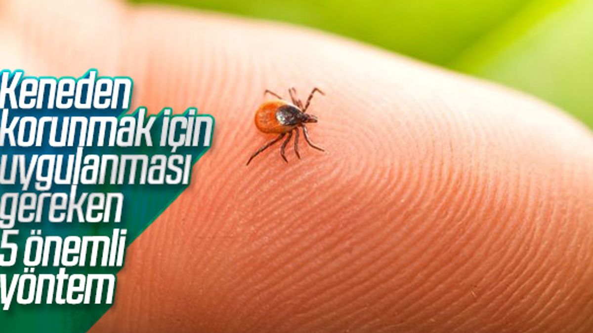 Kene ısırığından korunmanın yolları