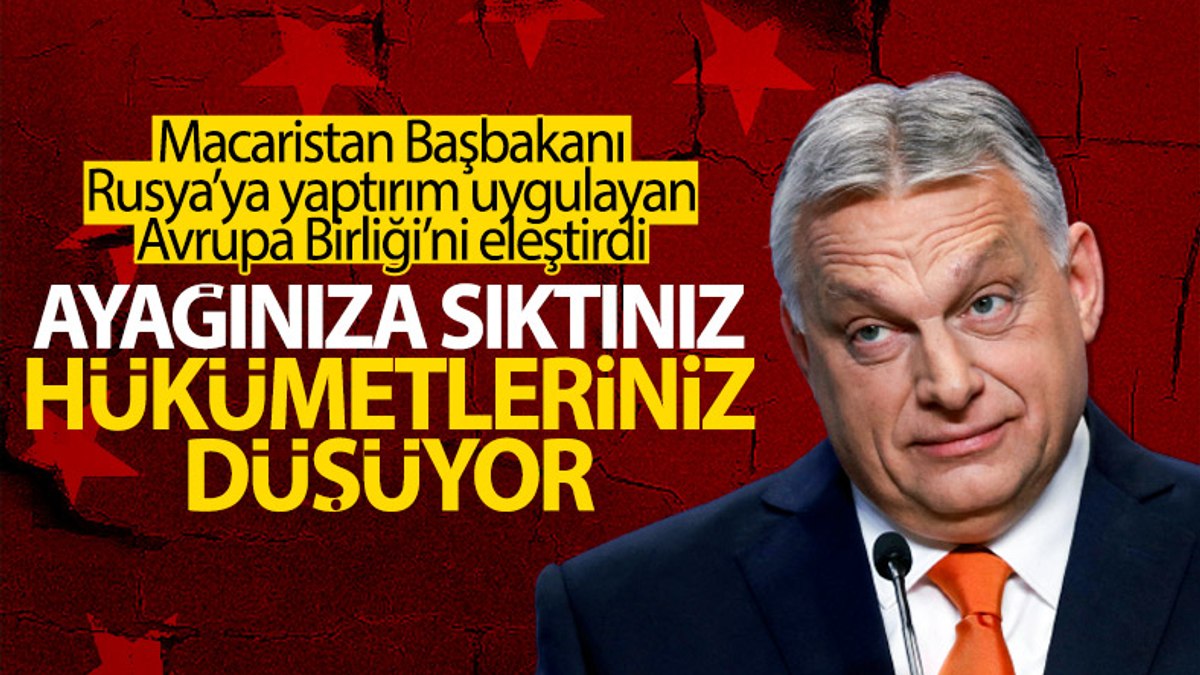 boşverdim artık ensestim ne demek