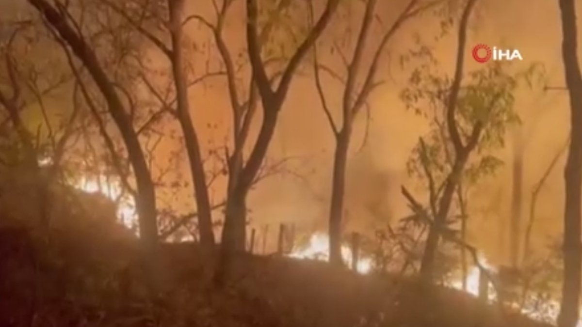 Wildfire in 7 states in Mexico