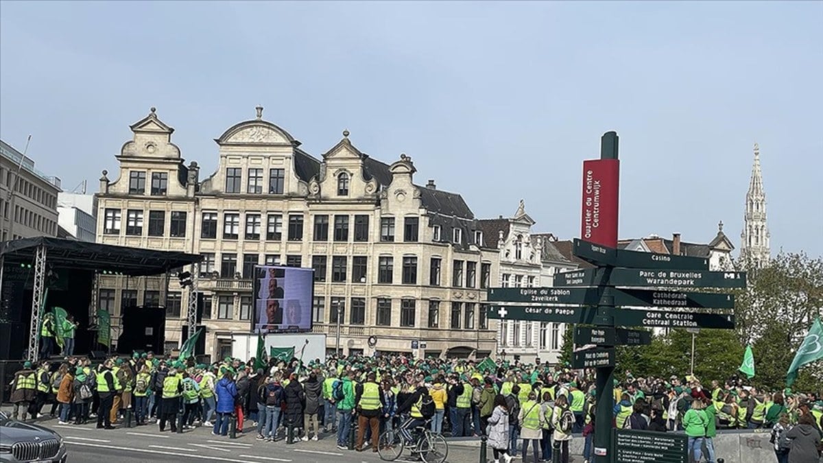 Teachers’ strike in Belgium: They protested the education system