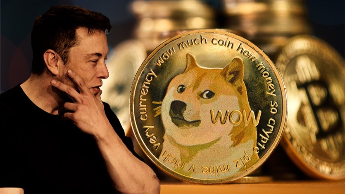 Elon Musk accused of manipulating Dogecoin