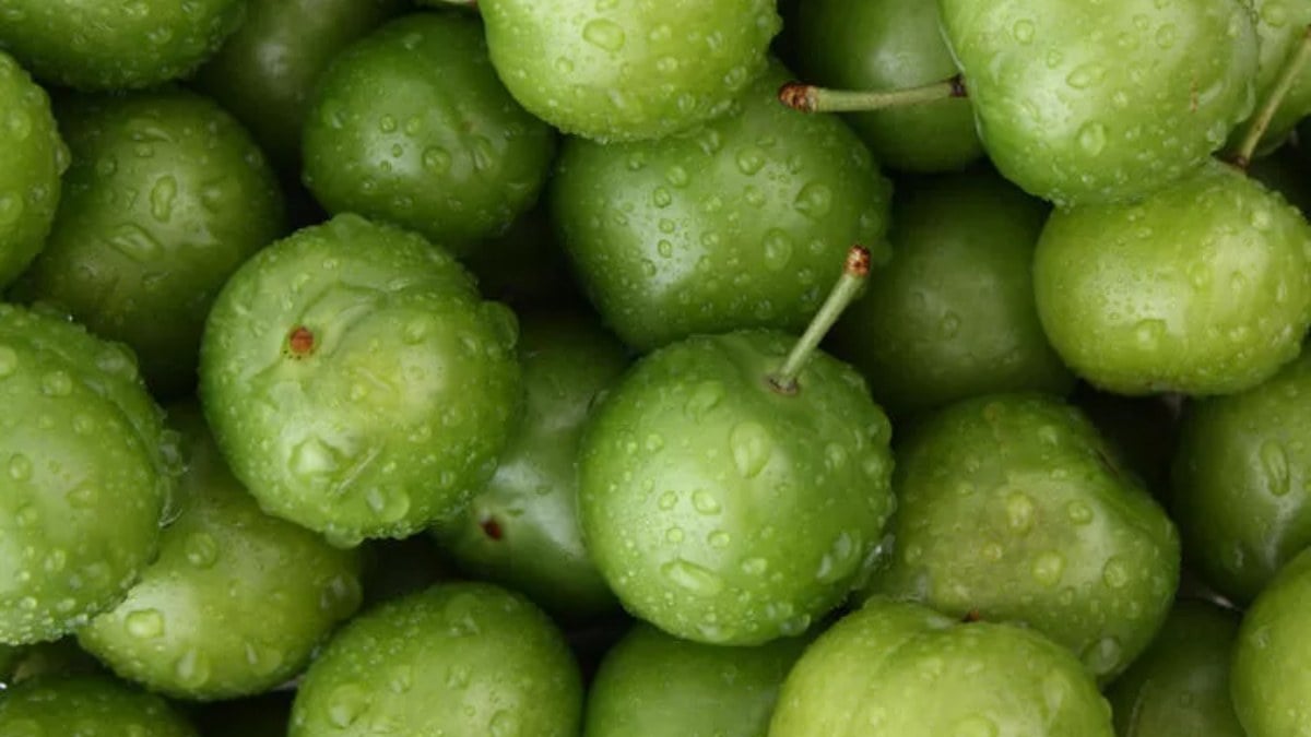 Avoid green plum, but do not consume it like this!