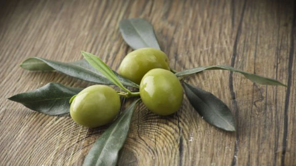 Canan Karatay gave the formula!  Do not throw away the olive pit!  Reason for regret…