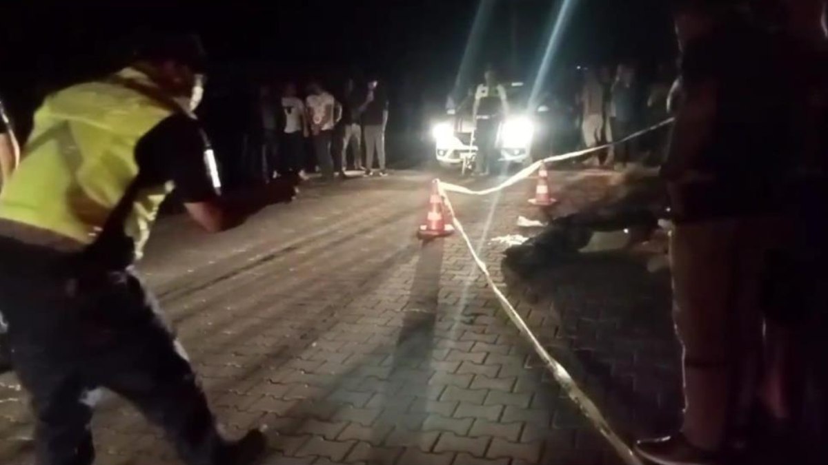 Aydın’da direğe çarpan motosikletin sürücüsü öldü