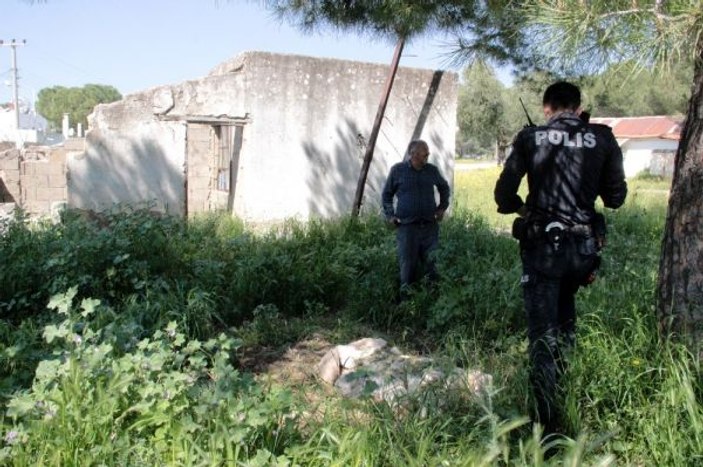Boş arazide bulunan mezar panik yarattı