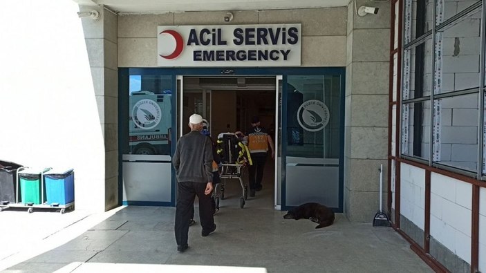 İpi çözülen kurbanlık koç, elmacık kemiğini kırdığı sahibini bayılttı -5