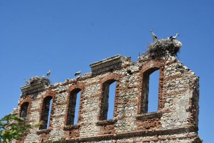 Edirne'de tarihi binalar leyleklerin yuvası oldu -2