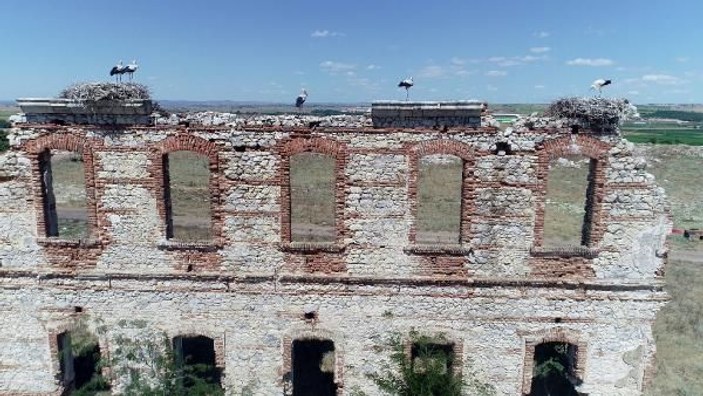 Edirne'de tarihi binalar leyleklerin yuvası oldu -10