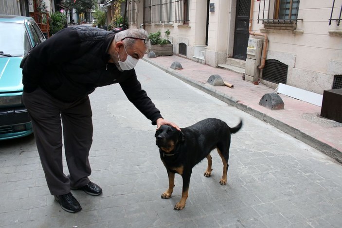 Beyoğlu'nda cep telefonu hırsızlığını köpek önledi... O anlar kamerada -2