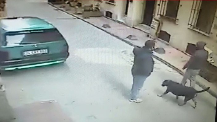 Beyoğlu'nda cep telefonu hırsızlığını köpek önledi... O anlar kamerada -6