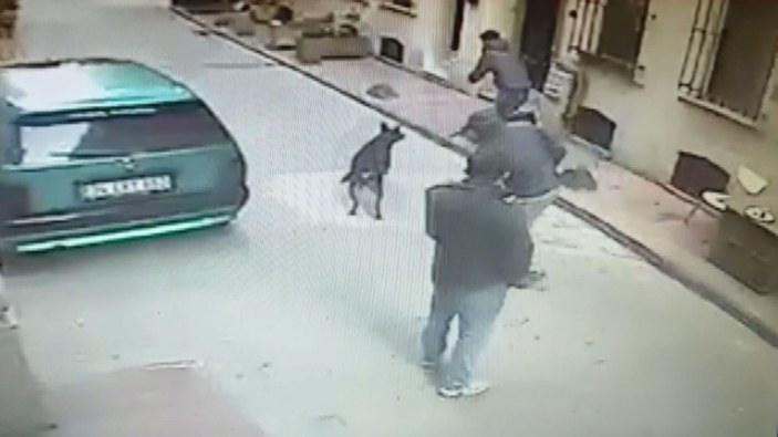 Beyoğlu'nda cep telefonu hırsızlığını köpek önledi... O anlar kamerada -9