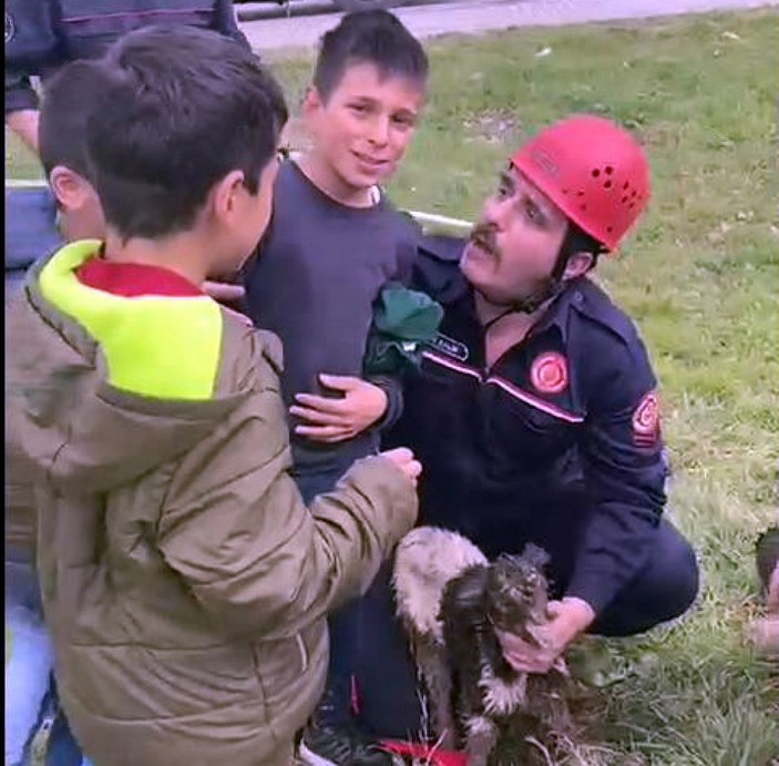 Avcılar’da çukura düşen  oğlak kurtarıldı -4