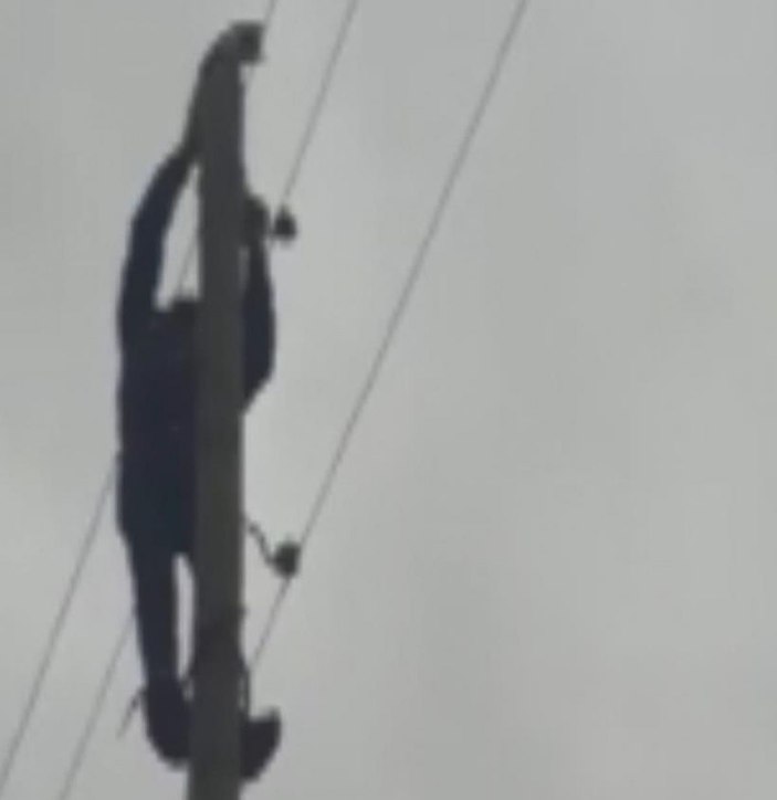 Telefon direğinde mahsur kalan kediyi muhtar kurtardı -3
