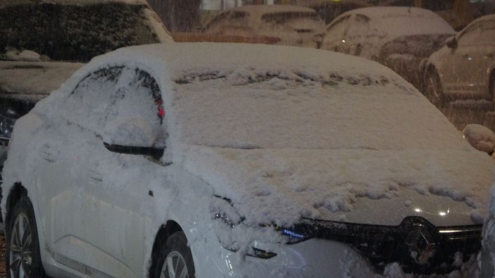 Yüksekova'da Mart ayında lapa lapa kar yağdı