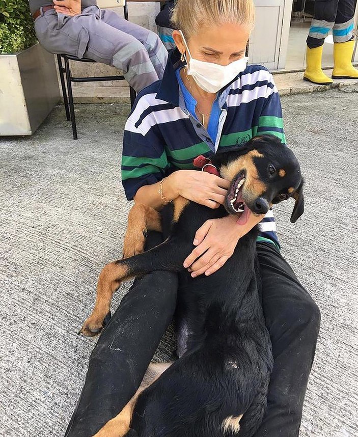 Köpeğine şiddet uyguladığı görüntüleri paylaşana açtığı davayı kaybetti -3