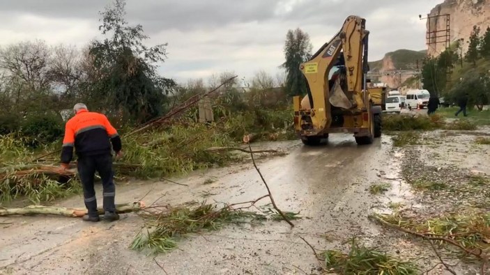Şanlıurfa'da fırtına; ağaçlar devrildi, 4 araç hasar gördü -2