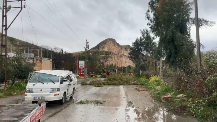 Şanlıurfa'da fırtına; ağaçlar devrildi, 4 araç hasar gördü -3