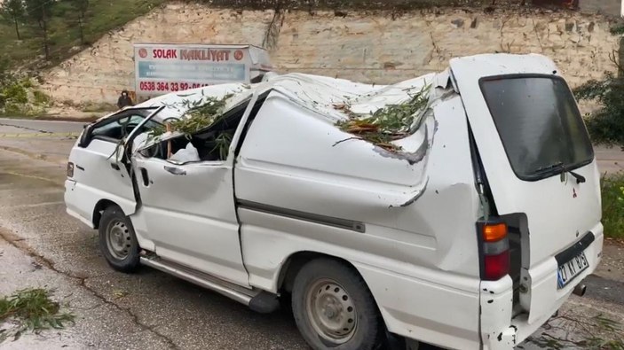 Şanlıurfa'da fırtına; ağaçlar devrildi, 4 araç hasar gördü -1