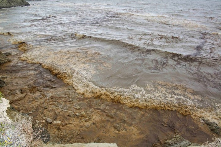 Doğal kirliliğin yaşandığı Karataş sahili temizlendi; Akyatan Lagünü açıldı -8
