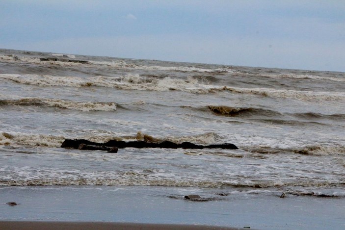 Doğal kirliliğin yaşandığı Karataş sahili temizlendi; Akyatan Lagünü açıldı -4