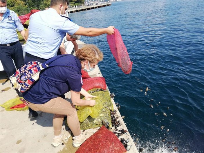 Sarıyer'de kaçak avlanan 1 ton midye ele geçirildi -6