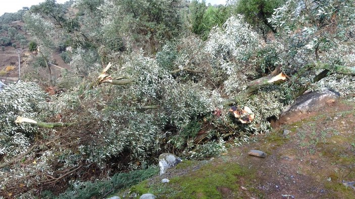 Aydın'da fırtına felaketi: 1 köy yerle bir oldu