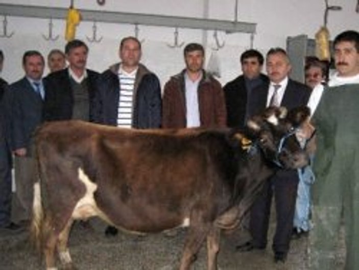 Halk Eğitim Merkezi'nde kurban kesim elemanı