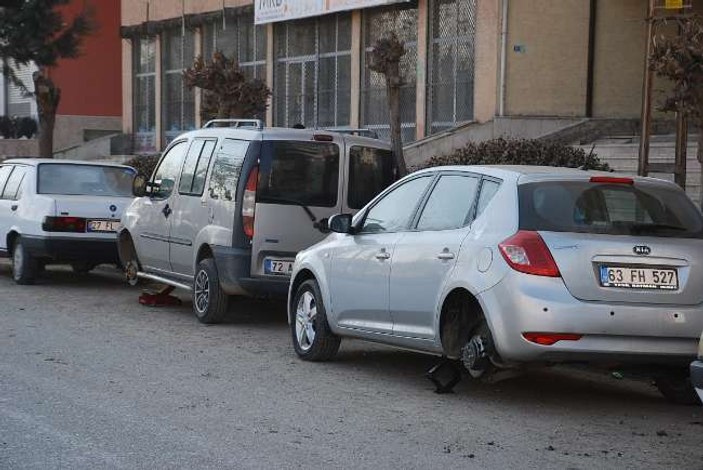 Batman'da Lastik Canavarları Aranıyor