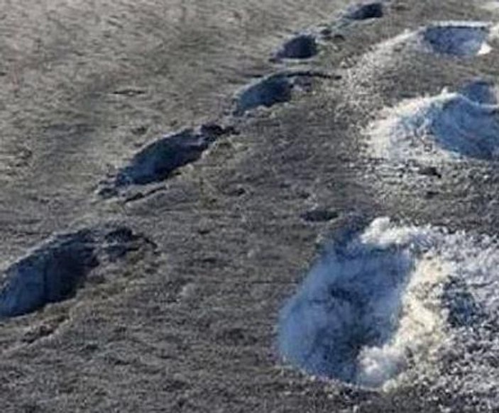 coco vandi anal kedinin ayakkabıya işemesi
