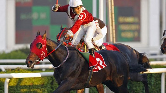 Reza Zarrab'ın atı El Ganador birinci geldi