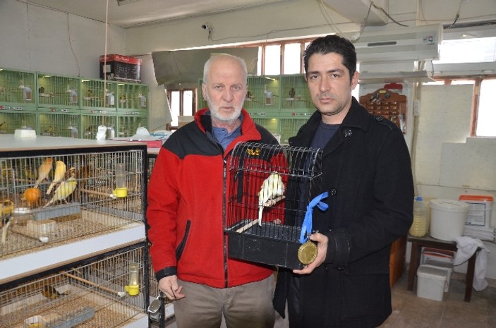Dünya kanarya şampiyonasında Türk kuşu birinci oldu