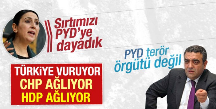 Şanlıurfa'da yakalanan YPG’li: Kobani PKK'nın yeni Kandil'i