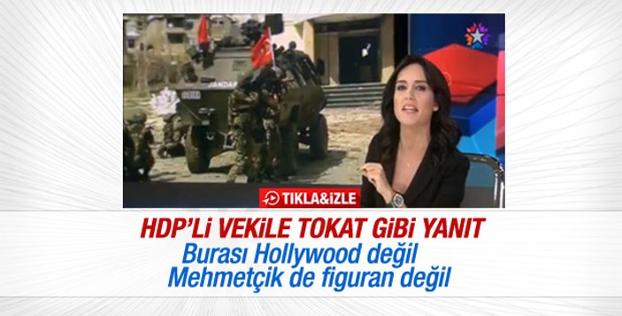 Nazlı Çelik'in Mehmetçik'e desteği rahatsız etti