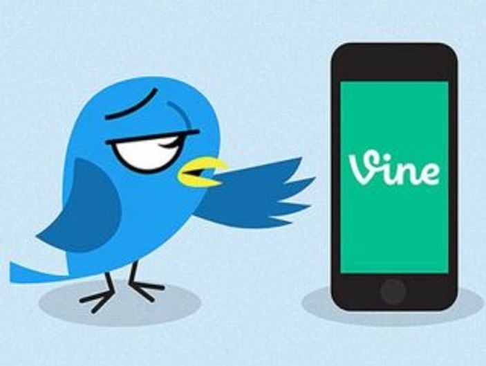 vine