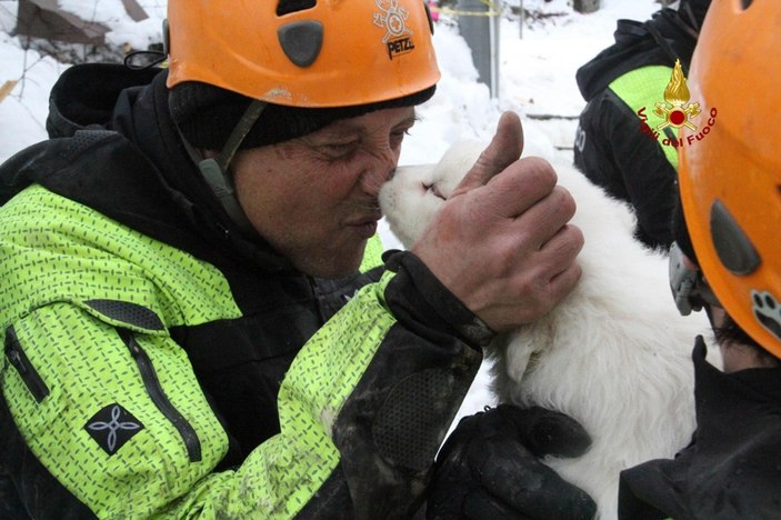Çığ felaketinden 5 gün sonra 3 köpek yavrusu kurtarıldı