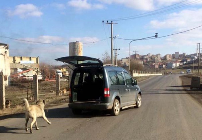 Çorlu'da bir köpek arabaya iple bağlandı