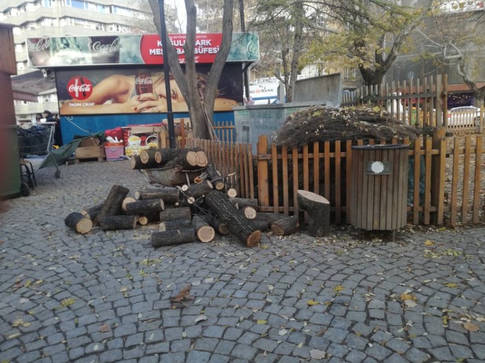 CHP'li Çankaya Belediyesi'nin ağaç katliamı