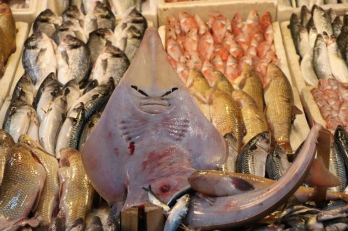 Mersin'de ağlara takılan insan yüzlü balık