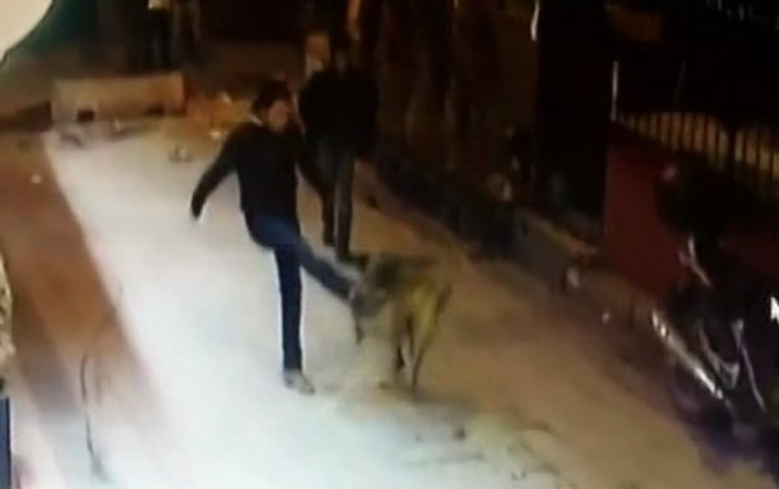 Taksim'de magandalar köpekleri bıçakladı