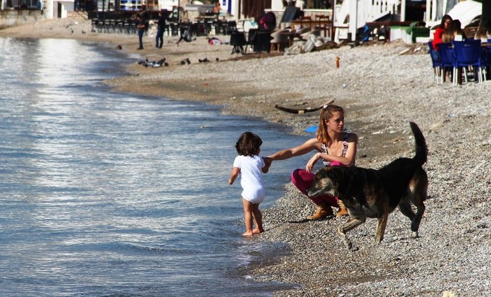 Bodrum ocak ayında yazı yaşıyor