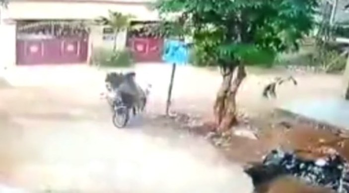 Hindistan'da boğanın çarptığı motosikletli öldü