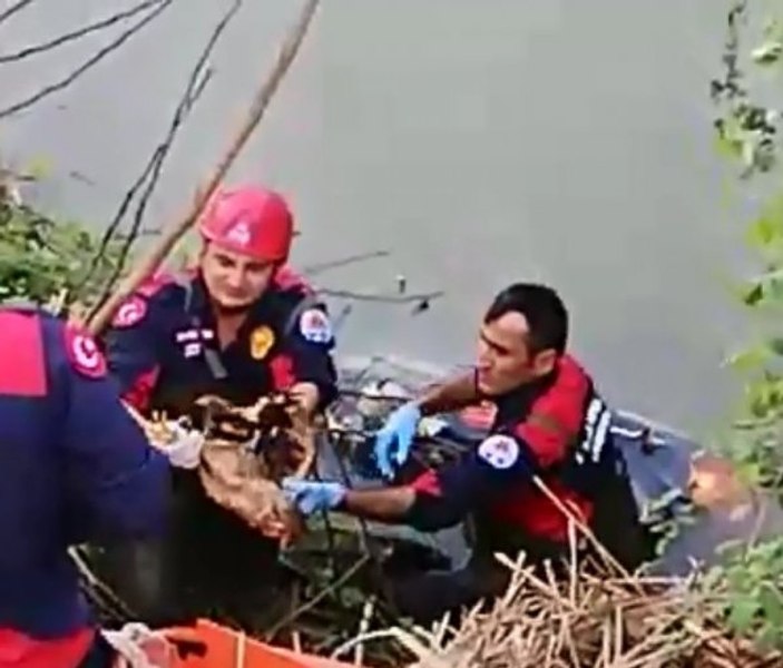Motosiklet kazasında sürücü öldü tavuk ve civciv kurtuldu