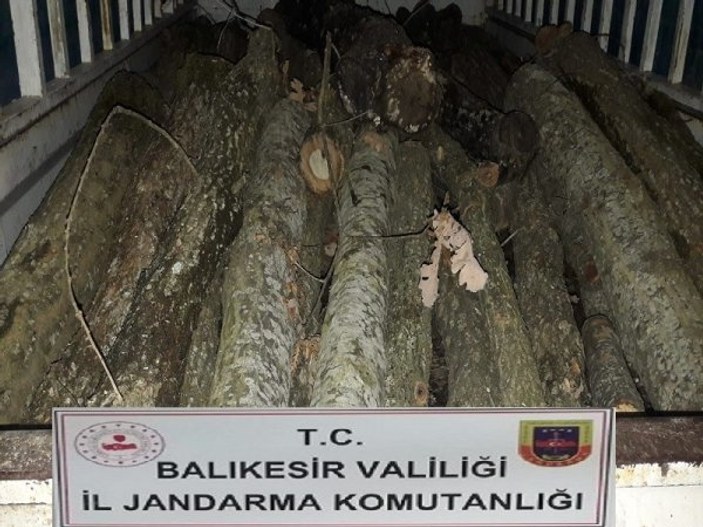 Balıkesir'de ormancı operasyonu: 23 gözaltı