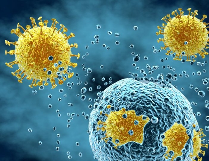 Koronavirüs, belirli hücreleri hedef alıyor