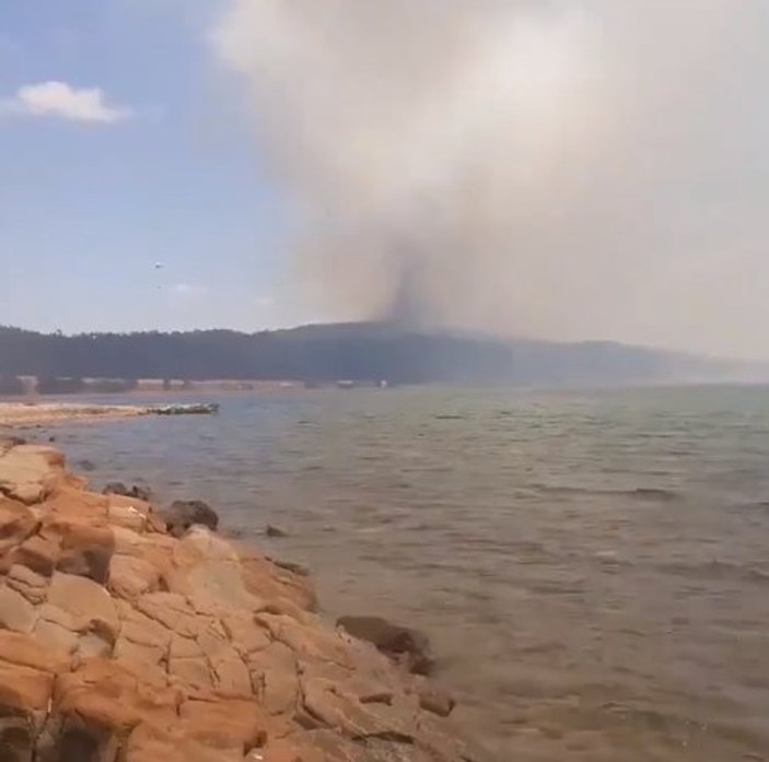 Çanakkale'de orman yangını