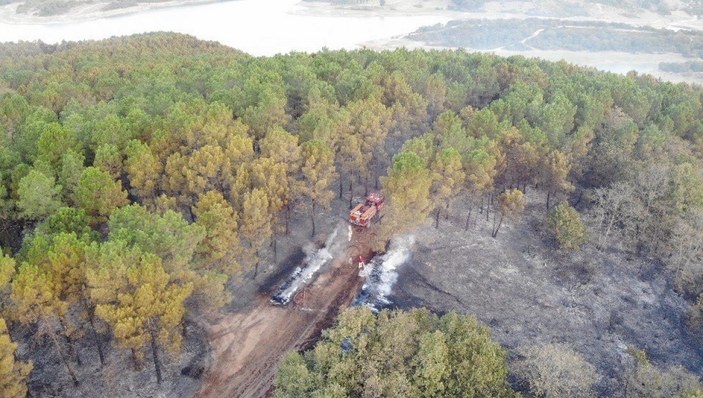 Pendik'te çıkan orman yangının tahribatı gün ağarınca ortaya çıktı