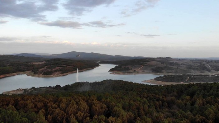 Pendik'te çıkan orman yangının tahribatı gün ağarınca ortaya çıktı
