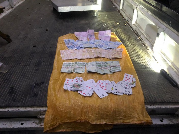 Düzce'de kamyonet kasasında kumar oynayanlara para cezası