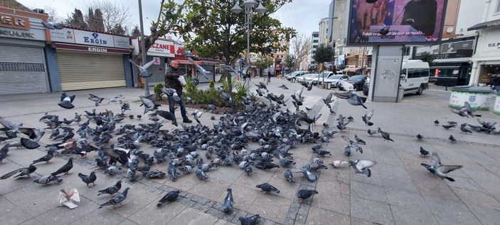 İstanbul'da aç kalan güvercinleri polis besledi
