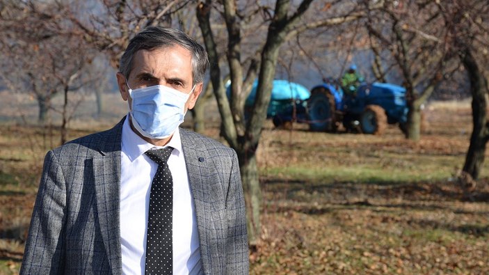 Malatya'da yeni kayısı sezonu hazırlıkları başladı